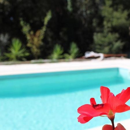 Bosque Dos Amieiros Villa Marco de Canavezes Kültér fotó