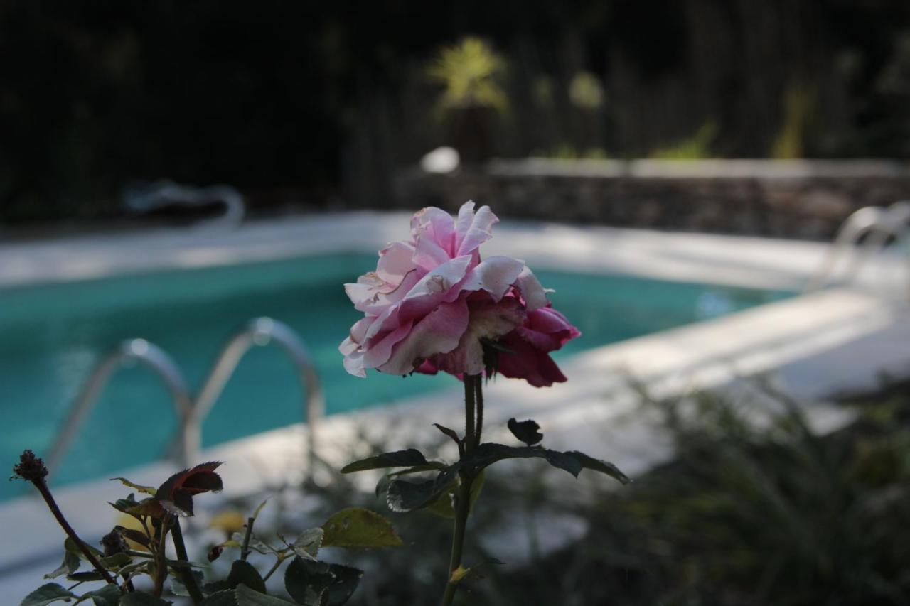 Bosque Dos Amieiros Villa Marco de Canavezes Kültér fotó