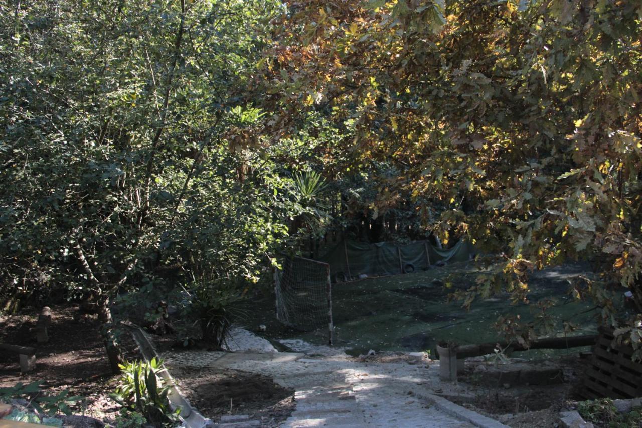 Bosque Dos Amieiros Villa Marco de Canavezes Kültér fotó