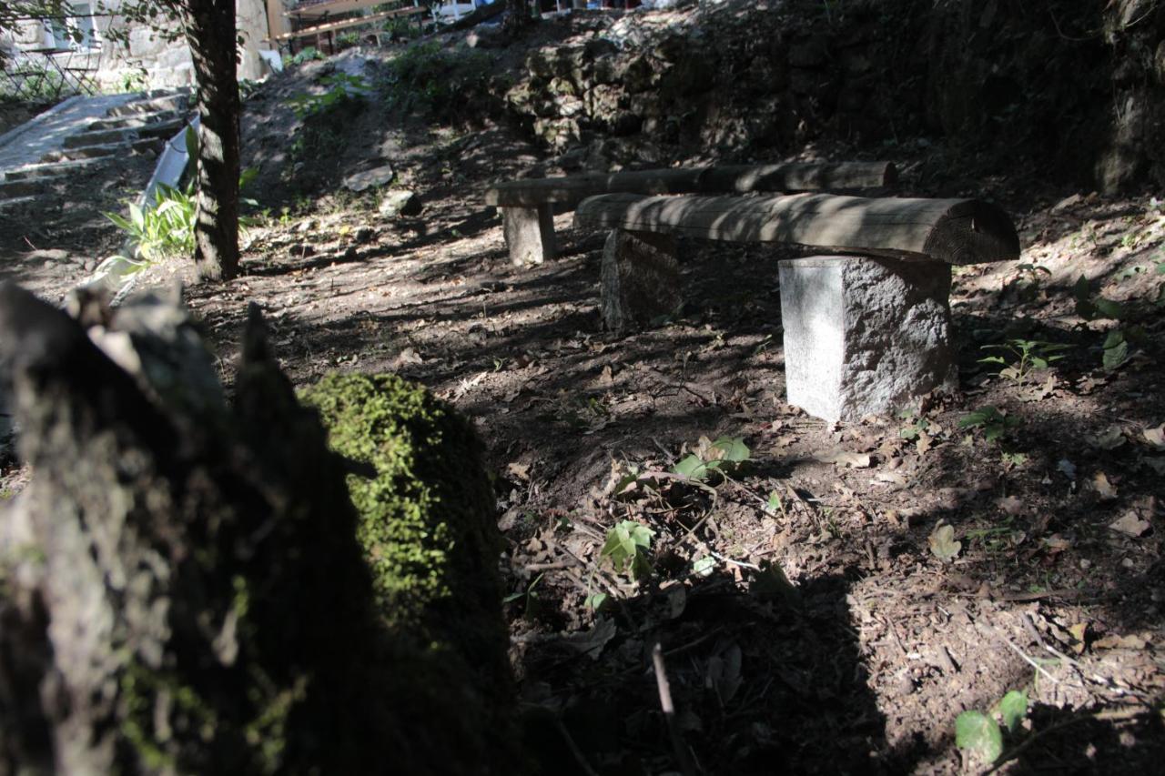 Bosque Dos Amieiros Villa Marco de Canavezes Kültér fotó