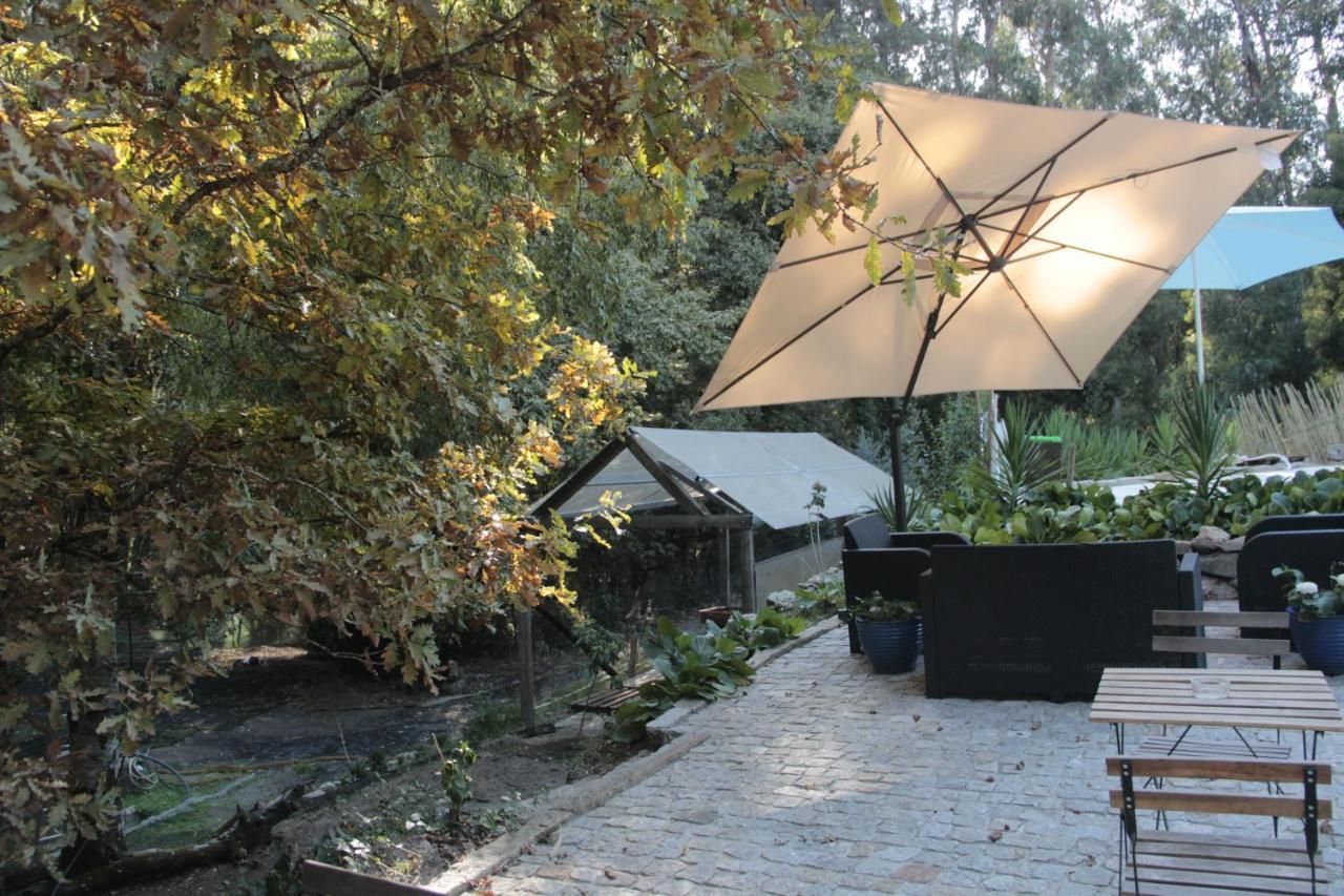 Bosque Dos Amieiros Villa Marco de Canavezes Kültér fotó