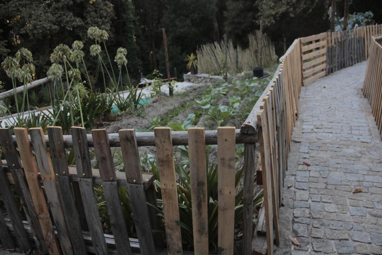 Bosque Dos Amieiros Villa Marco de Canavezes Kültér fotó